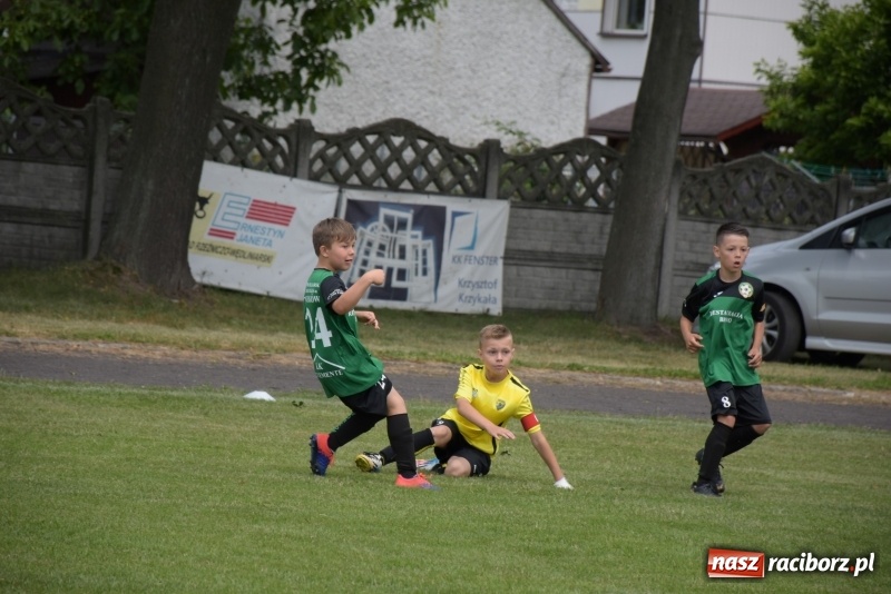Zdjęcie w galerii na portalu naszraciborz.pl: Tworków Cup 2019. Zmagania rocznika 2009 wiadomości z regionu