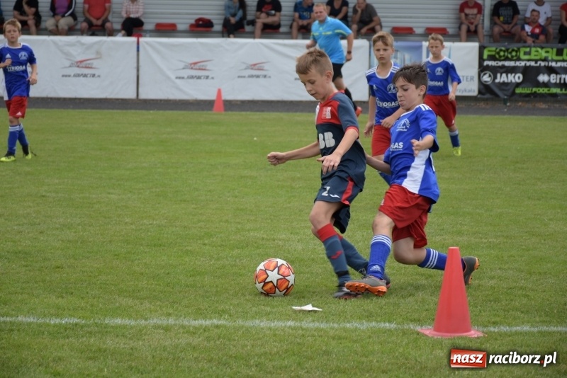 Zdjęcie w galerii na portalu naszraciborz.pl: Tworków Cup 2019. Zmagania rocznika 2009 wiadomości z regionu