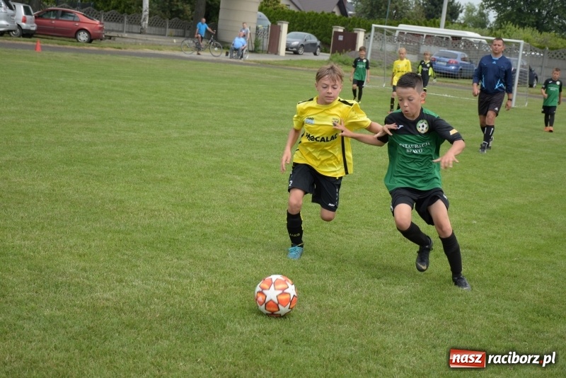 Zdjęcie w galerii na portalu naszraciborz.pl: Tworków Cup 2019. Zmagania rocznika 2009 wiadomości z regionu