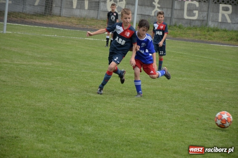 Zdjęcie w galerii na portalu naszraciborz.pl: Tworków Cup 2019. Zmagania rocznika 2009 wiadomości z regionu