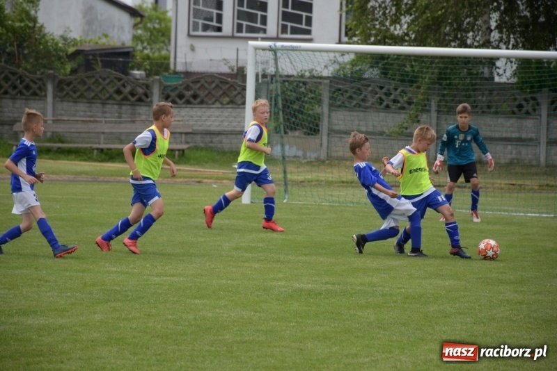 Zdjęcie w galerii na portalu naszraciborz.pl: Tworków Cup 2019. Zmagania rocznika 2009 wiadomości z regionu