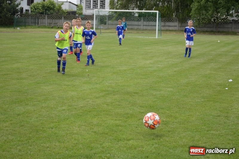 Zdjęcie w galerii na portalu naszraciborz.pl: Tworków Cup 2019. Zmagania rocznika 2009 wiadomości z regionu
