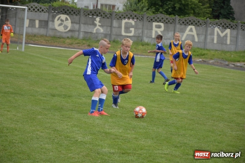 Zdjęcie w galerii na portalu naszraciborz.pl: Tworków Cup 2019. Zmagania rocznika 2009 wiadomości z regionu