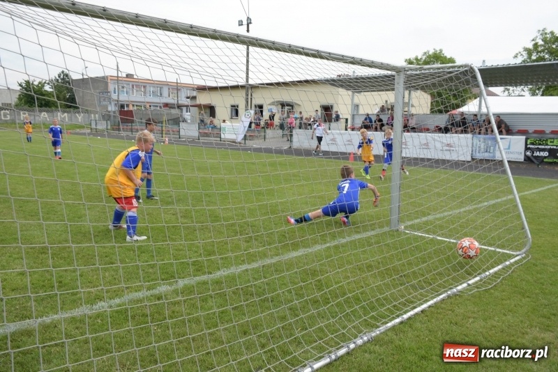 Zdjęcie w galerii na portalu naszraciborz.pl: Tworków Cup 2019. Zmagania rocznika 2009 wiadomości z regionu