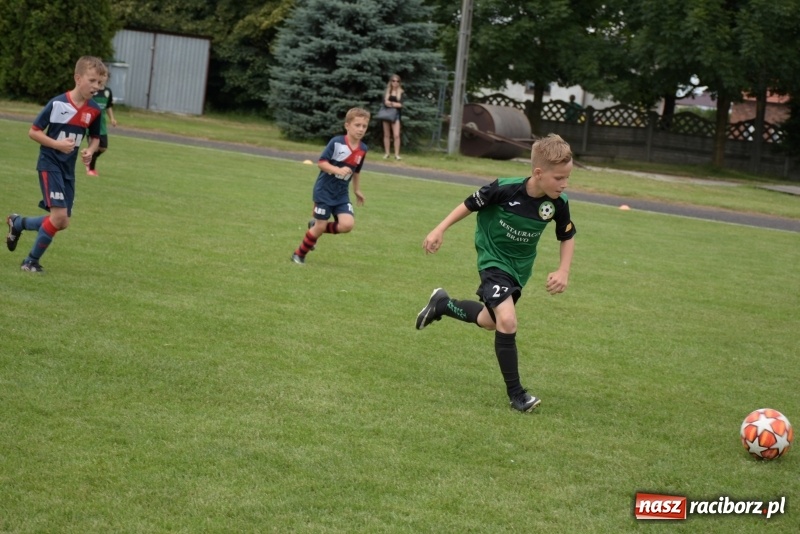 Zdjęcie w galerii na portalu naszraciborz.pl: Tworków Cup 2019. Zmagania rocznika 2009 wiadomości z regionu