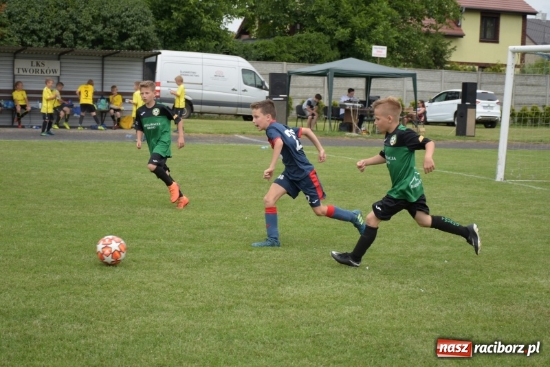 Zdjęcie w galerii na portalu naszraciborz.pl: Tworków Cup 2019. Zmagania rocznika 2009 wiadomości z regionu
