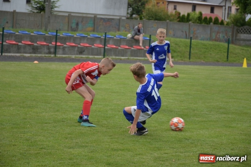 Zdjęcie w galerii na portalu naszraciborz.pl: Tworków Cup 2019. Zmagania rocznika 2009 wiadomości z regionu