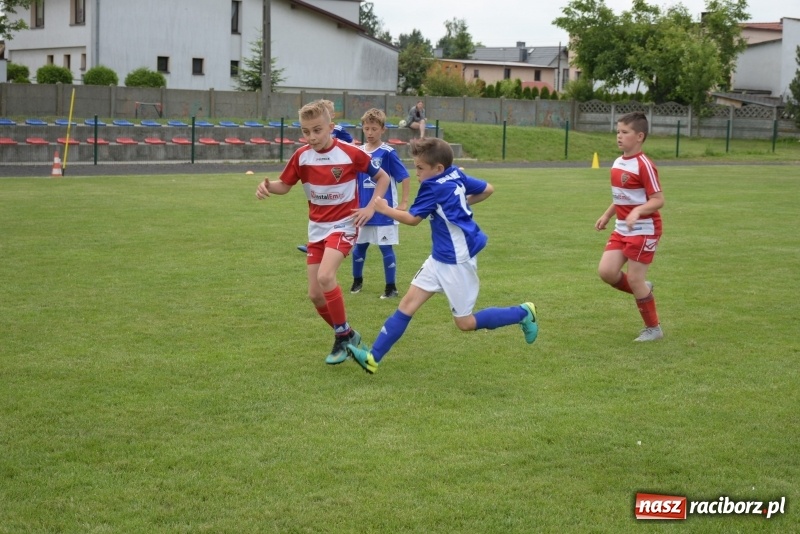 Zdjęcie w galerii na portalu naszraciborz.pl: Tworków Cup 2019. Zmagania rocznika 2009 wiadomości z regionu