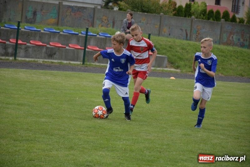 Zdjęcie w galerii na portalu naszraciborz.pl: Tworków Cup 2019. Zmagania rocznika 2009 wiadomości z regionu