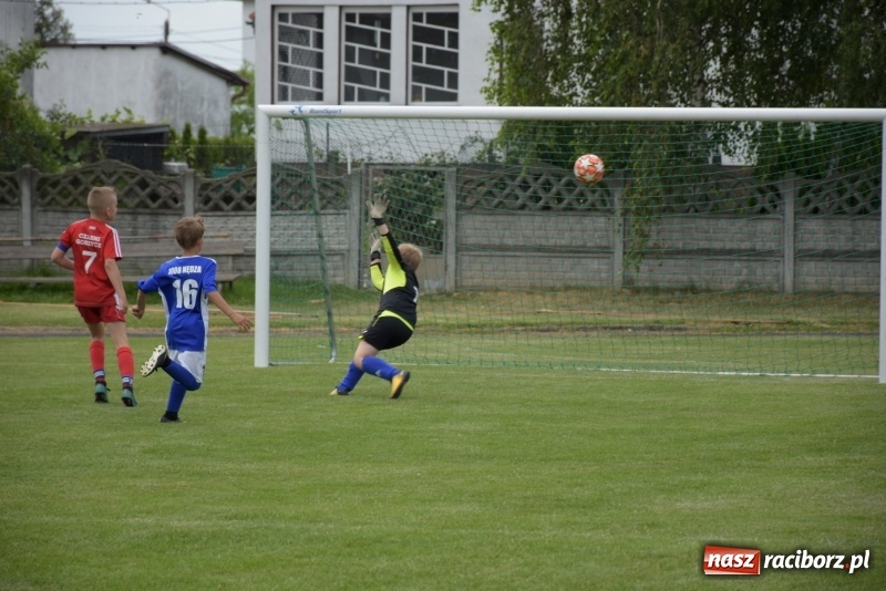 Zdjęcie w galerii na portalu naszraciborz.pl: Tworków Cup 2019. Zmagania rocznika 2009 wiadomości z regionu