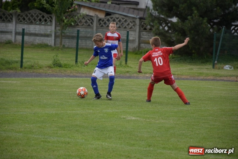 Zdjęcie w galerii na portalu naszraciborz.pl: Tworków Cup 2019. Zmagania rocznika 2009 wiadomości z regionu