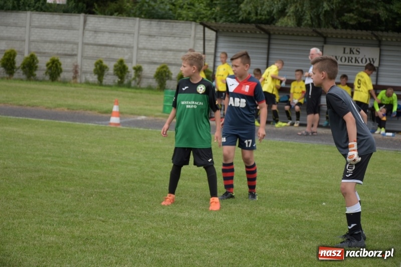 Zdjęcie w galerii na portalu naszraciborz.pl: Tworków Cup 2019. Zmagania rocznika 2009 wiadomości z regionu