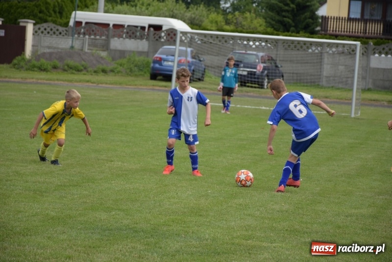 Zdjęcie w galerii na portalu naszraciborz.pl: Tworków Cup 2019. Zmagania rocznika 2009 wiadomości z regionu