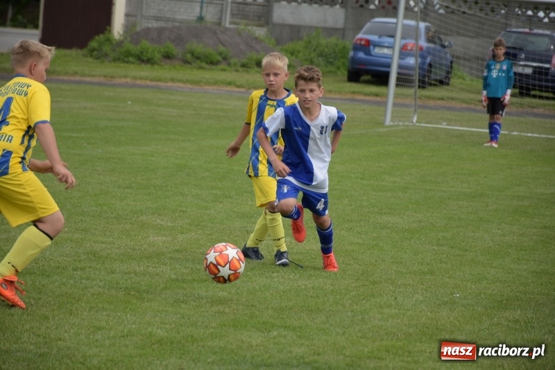 Zdjęcie w galerii na portalu naszraciborz.pl: Tworków Cup 2019. Zmagania rocznika 2009 wiadomości z regionu