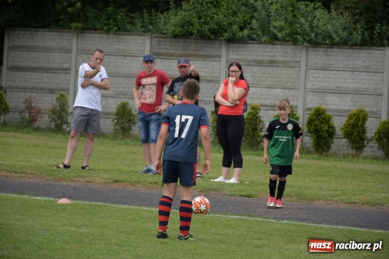 Zdjęcie w galerii na portalu naszraciborz.pl: Tworków Cup 2019. Zmagania rocznika 2009 wiadomości z regionu