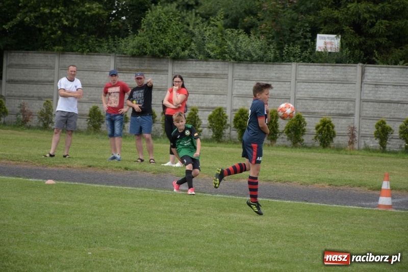 Zdjęcie w galerii na portalu naszraciborz.pl: Tworków Cup 2019. Zmagania rocznika 2009 wiadomości z regionu