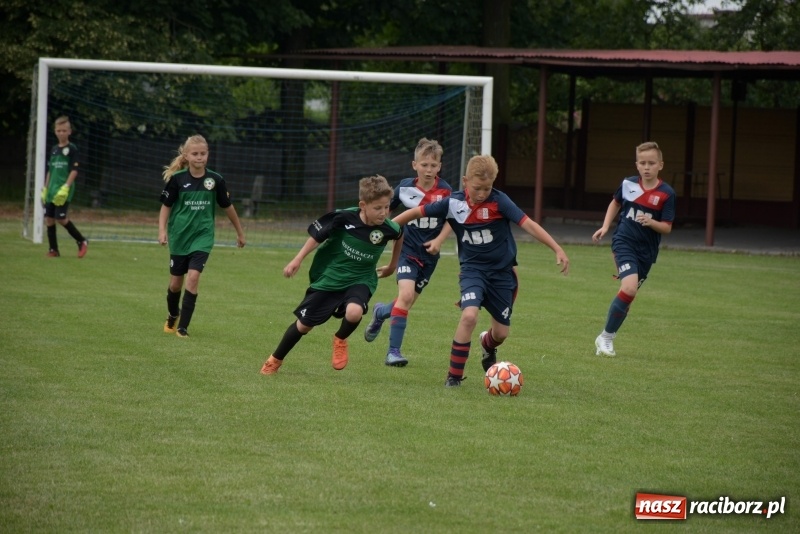 Zdjęcie w galerii na portalu naszraciborz.pl: Tworków Cup 2019. Zmagania rocznika 2009 wiadomości z regionu