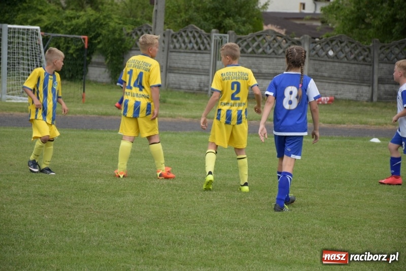 Zdjęcie w galerii na portalu naszraciborz.pl: Tworków Cup 2019. Zmagania rocznika 2009 wiadomości z regionu