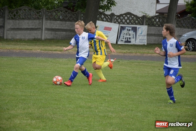 Zdjęcie w galerii na portalu naszraciborz.pl: Tworków Cup 2019. Zmagania rocznika 2009 wiadomości z regionu