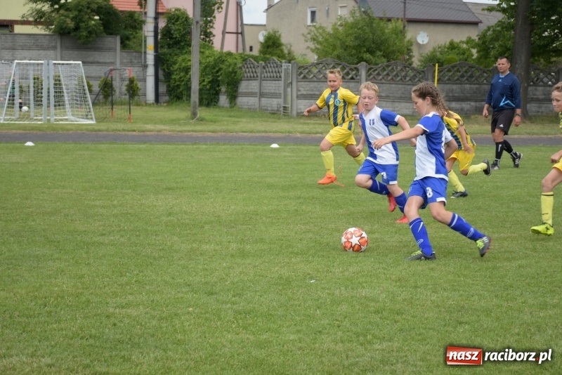 Zdjęcie w galerii na portalu naszraciborz.pl: Tworków Cup 2019. Zmagania rocznika 2009 wiadomości z regionu