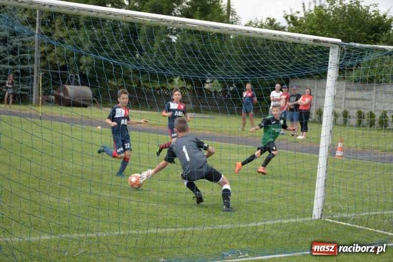 Zdjęcie w galerii na portalu naszraciborz.pl: Tworków Cup 2019. Zmagania rocznika 2009 wiadomości z regionu