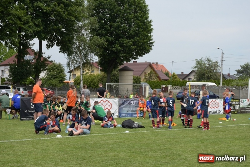 Zdjęcie w galerii na portalu naszraciborz.pl: Tworków Cup 2019. Zmagania rocznika 2009 wiadomości z regionu
