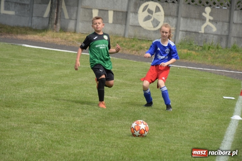 Zdjęcie w galerii na portalu naszraciborz.pl: Tworków Cup 2019. Zmagania rocznika 2009 wiadomości z regionu