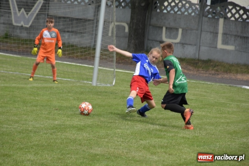Zdjęcie w galerii na portalu naszraciborz.pl: Tworków Cup 2019. Zmagania rocznika 2009 wiadomości z regionu