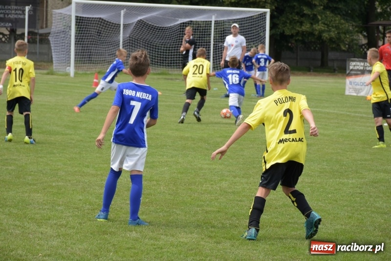 Zdjęcie w galerii na portalu naszraciborz.pl: Tworków Cup 2019. Zmagania rocznika 2009 wiadomości z regionu