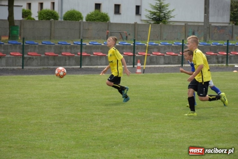 Zdjęcie w galerii na portalu naszraciborz.pl: Tworków Cup 2019. Zmagania rocznika 2009 wiadomości z regionu