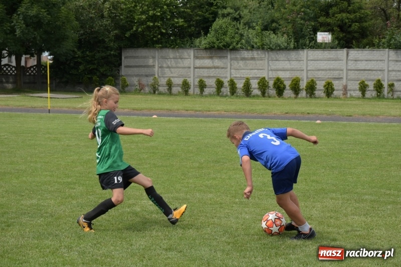 Zdjęcie w galerii na portalu naszraciborz.pl: Tworków Cup 2019. Zmagania rocznika 2009 wiadomości z regionu