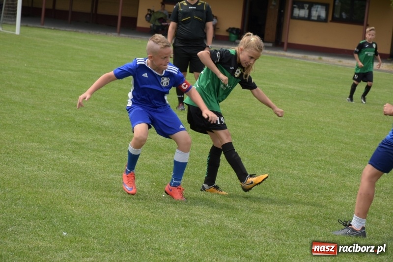 Zdjęcie w galerii na portalu naszraciborz.pl: Tworków Cup 2019. Zmagania rocznika 2009 wiadomości z regionu