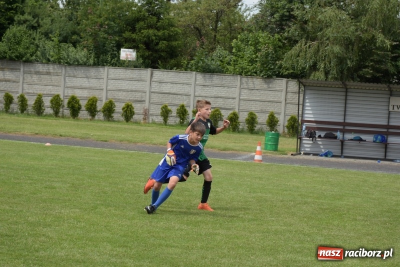 Zdjęcie w galerii na portalu naszraciborz.pl: Tworków Cup 2019. Zmagania rocznika 2009 wiadomości z regionu