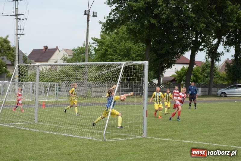 Zdjęcie w galerii na portalu naszraciborz.pl: Tworków Cup 2019. Zmagania rocznika 2009 wiadomości z regionu
