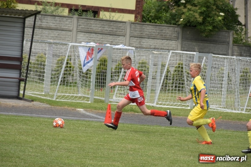 Zdjęcie w galerii na portalu naszraciborz.pl: Tworków Cup 2019. Zmagania rocznika 2009 wiadomości z regionu
