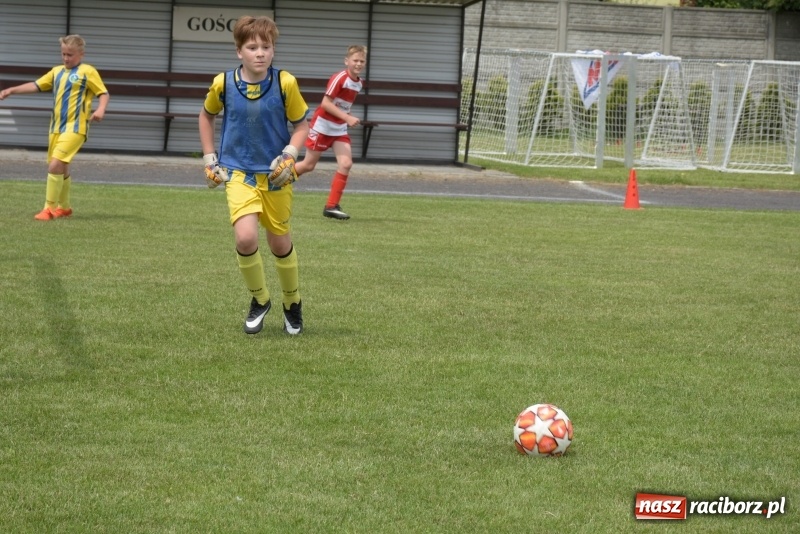 Zdjęcie w galerii na portalu naszraciborz.pl: Tworków Cup 2019. Zmagania rocznika 2009 wiadomości z regionu