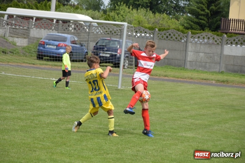 Zdjęcie w galerii na portalu naszraciborz.pl: Tworków Cup 2019. Zmagania rocznika 2009 wiadomości z regionu