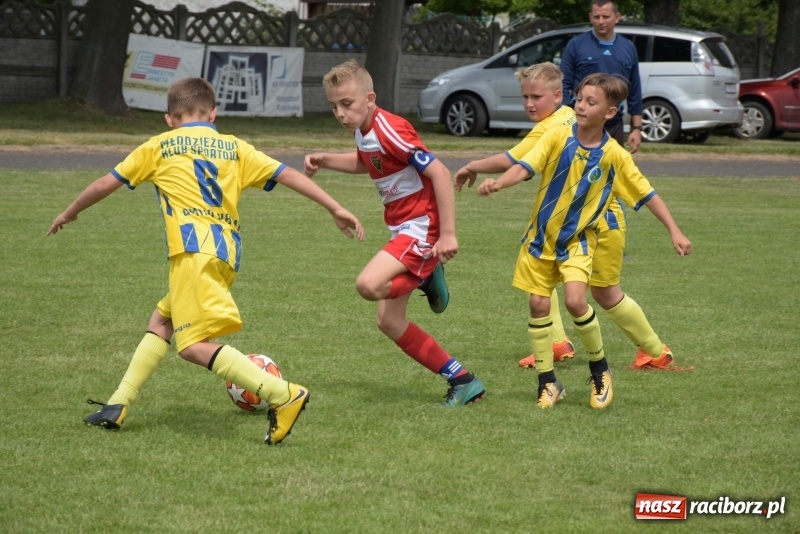 Zdjęcie w galerii na portalu naszraciborz.pl: Tworków Cup 2019. Zmagania rocznika 2009 wiadomości z regionu