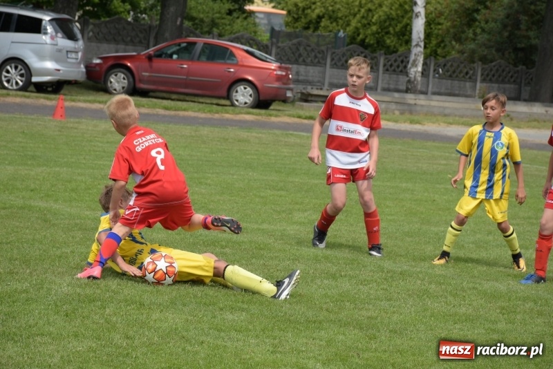 Zdjęcie w galerii na portalu naszraciborz.pl: Tworków Cup 2019. Zmagania rocznika 2009 wiadomości z regionu
