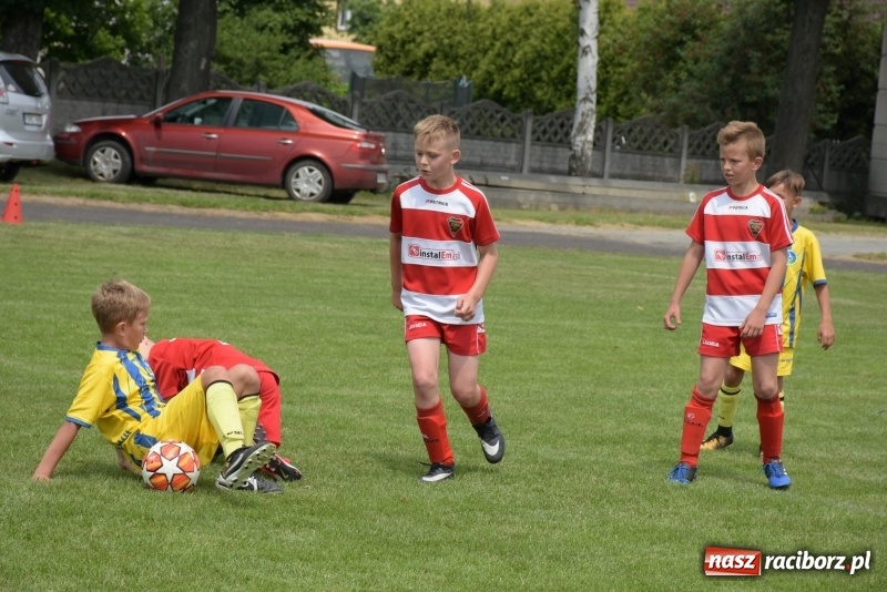 Zdjęcie w galerii na portalu naszraciborz.pl: Tworków Cup 2019. Zmagania rocznika 2009 wiadomości z regionu