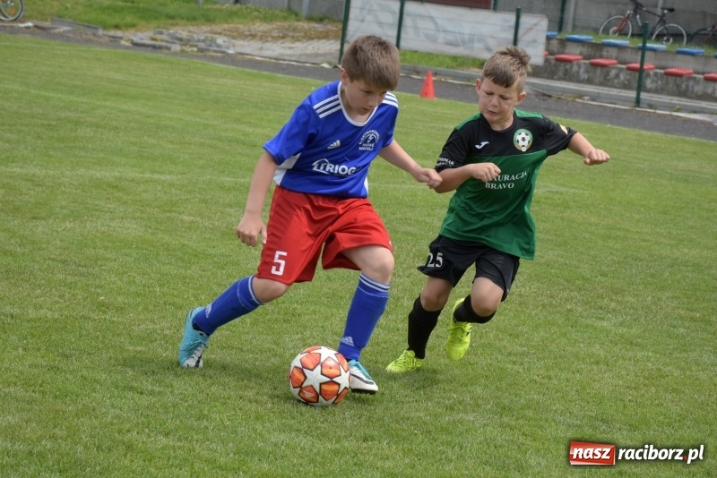 Zdjęcie w galerii na portalu naszraciborz.pl: Tworków Cup 2019. Zmagania rocznika 2009 wiadomości z regionu