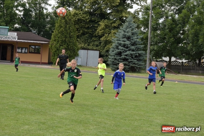Zdjęcie w galerii na portalu naszraciborz.pl: Tworków Cup 2019. Zmagania rocznika 2009 wiadomości z regionu