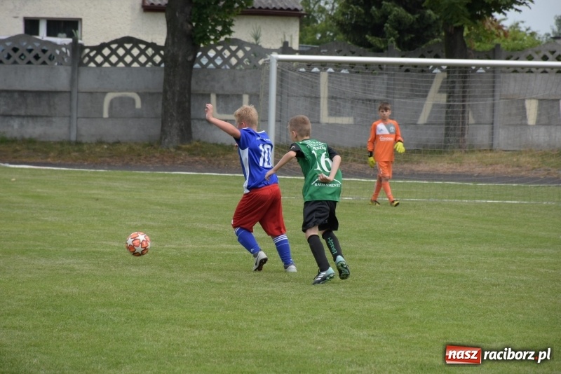 Zdjęcie w galerii na portalu naszraciborz.pl: Tworków Cup 2019. Zmagania rocznika 2009 wiadomości z regionu