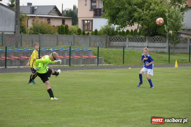 Zdjęcie w galerii na portalu naszraciborz.pl: Tworków Cup 2019. Zmagania rocznika 2009 wiadomości z regionu