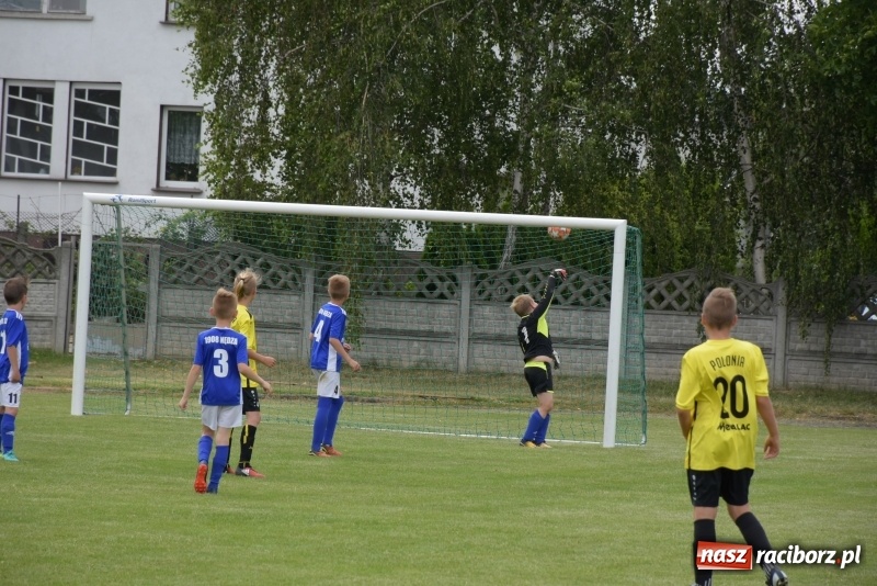 Zdjęcie w galerii na portalu naszraciborz.pl: Tworków Cup 2019. Zmagania rocznika 2009 wiadomości z regionu