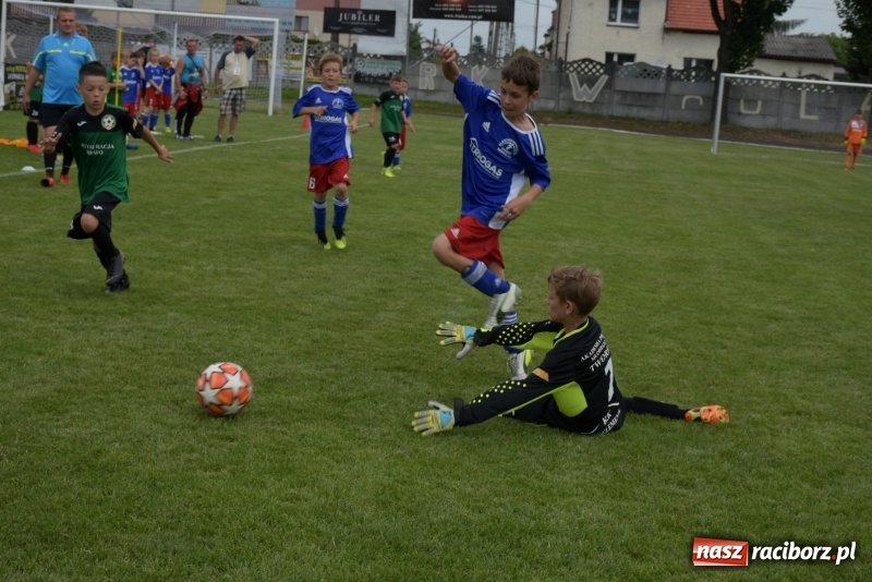 Zdjęcie w galerii na portalu naszraciborz.pl: Tworków Cup 2019. Zmagania rocznika 2009 wiadomości z regionu