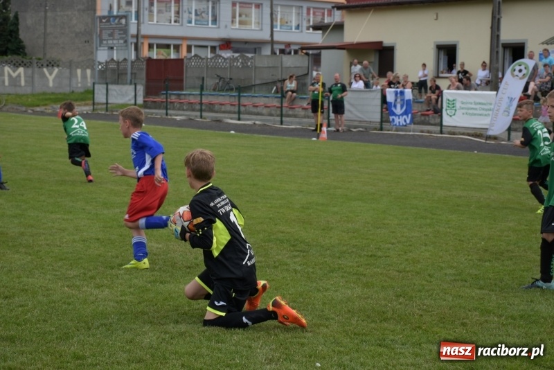 Zdjęcie w galerii na portalu naszraciborz.pl: Tworków Cup 2019. Zmagania rocznika 2009 wiadomości z regionu