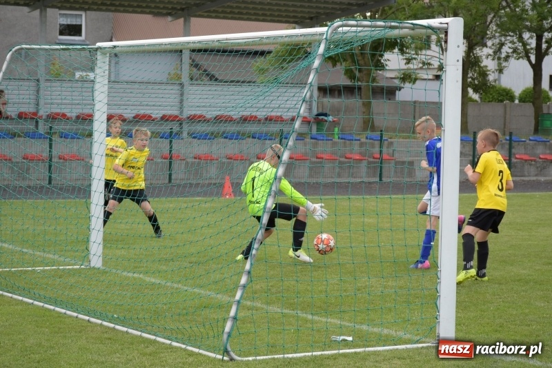 Zdjęcie w galerii na portalu naszraciborz.pl: Tworków Cup 2019. Zmagania rocznika 2009 wiadomości z regionu