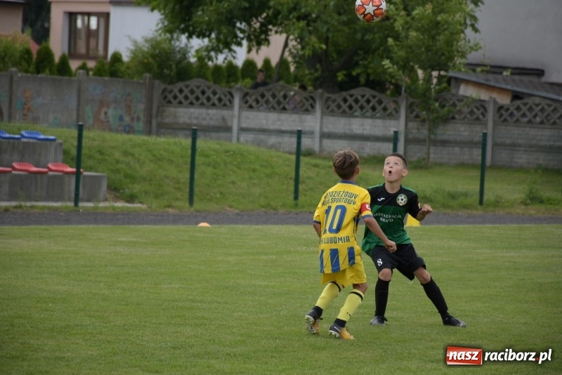 Zdjęcie w galerii na portalu naszraciborz.pl: Tworków Cup 2019. Zmagania rocznika 2009 wiadomości z regionu