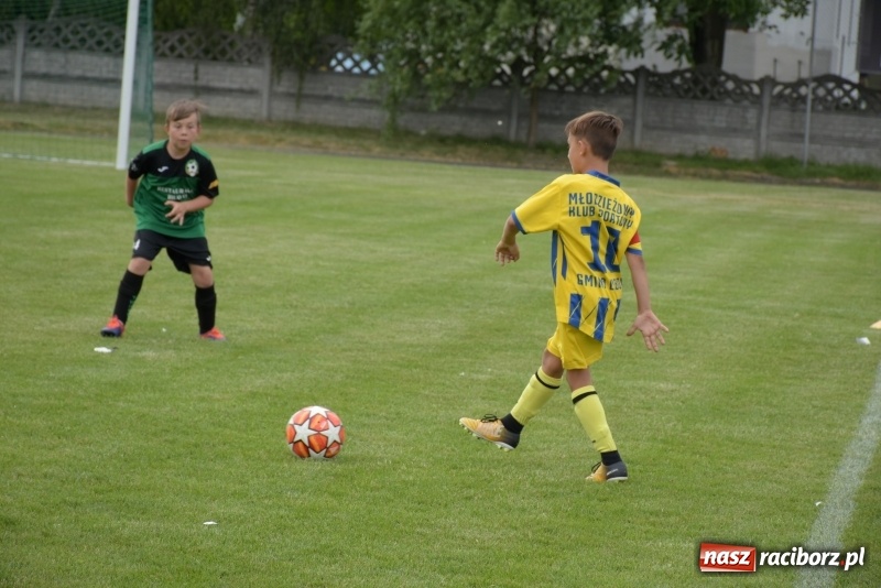 Zdjęcie w galerii na portalu naszraciborz.pl: Tworków Cup 2019. Zmagania rocznika 2009 wiadomości z regionu
